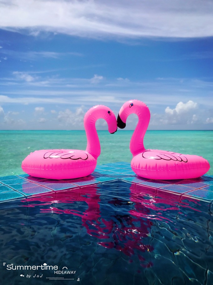 神仙珊瑚岛Island Hideaway